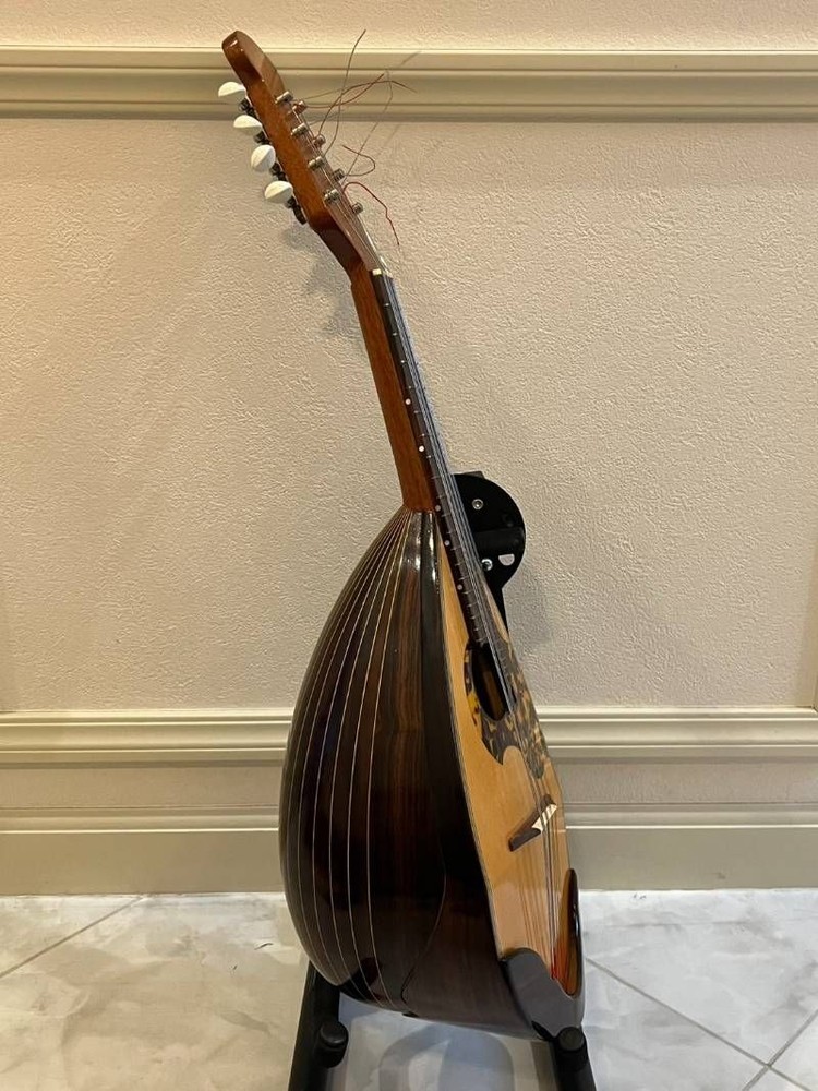 Minoru Noguchi Mandolin String Instrument with Hard Case