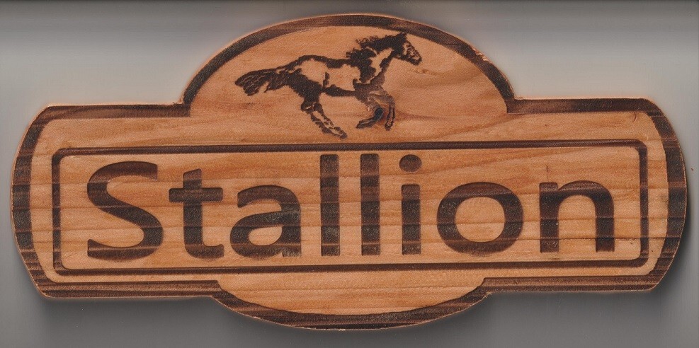 Horse Stall Personalized Name Plates Cedar Approx. 1/2 inch thick.....