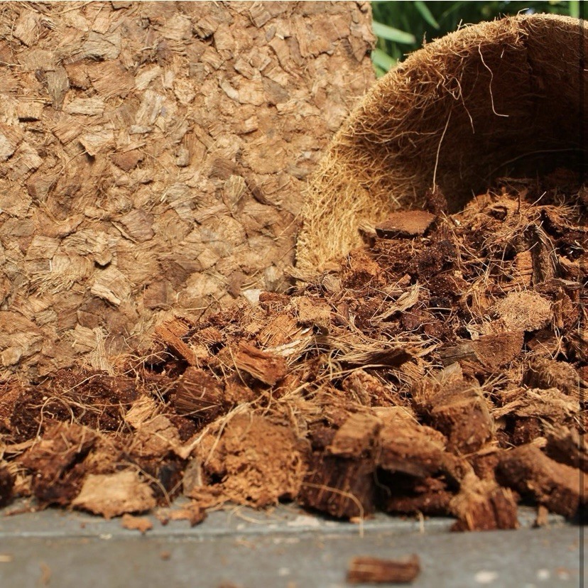 Coco Bliss Premium Coconut Coir Chips - 100% Organic