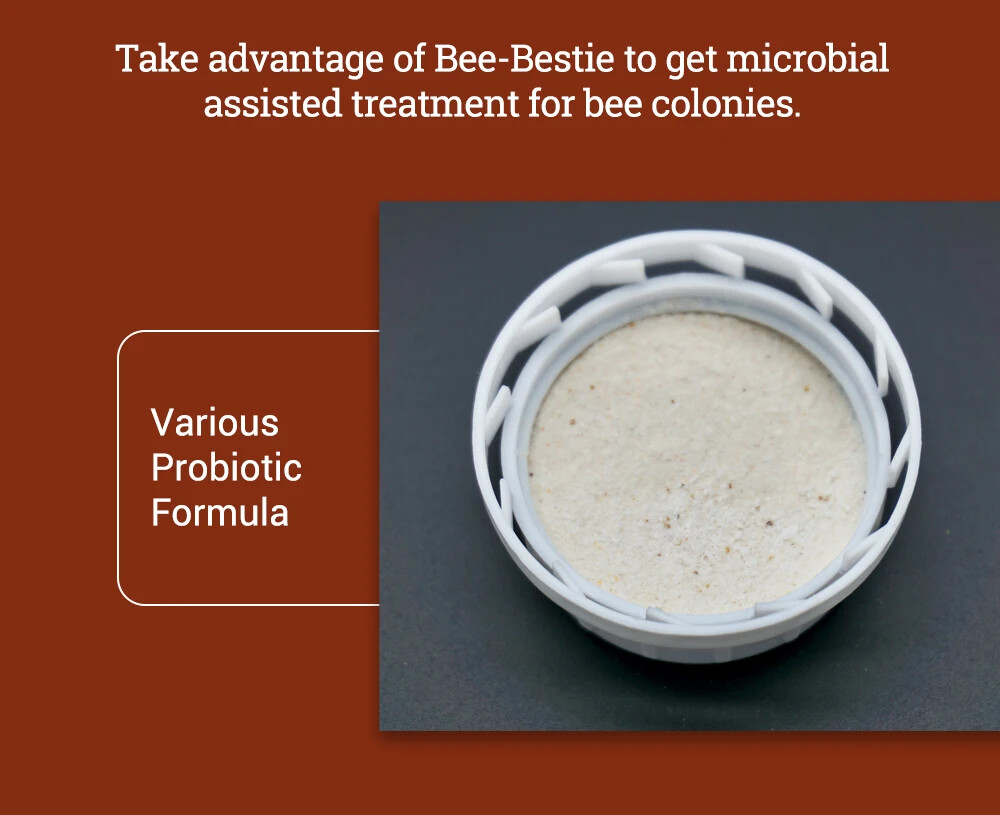 Improve Immunity for Bees,Assisted Treatment ,Beekeeping