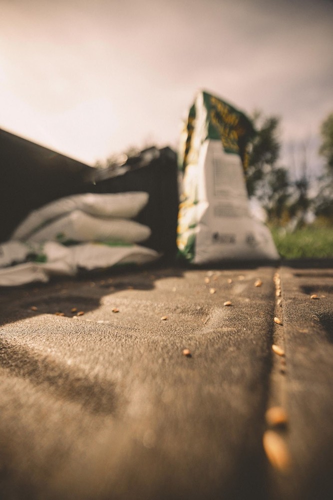 Eagle Seed Harper’s Blend™ for Deer | Food Plot Habitat Seed