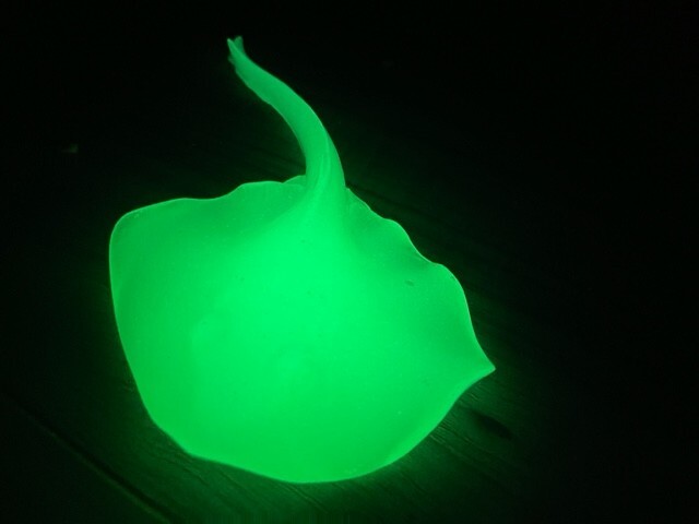Stingray Silicone Mold For Resin/Epoxy