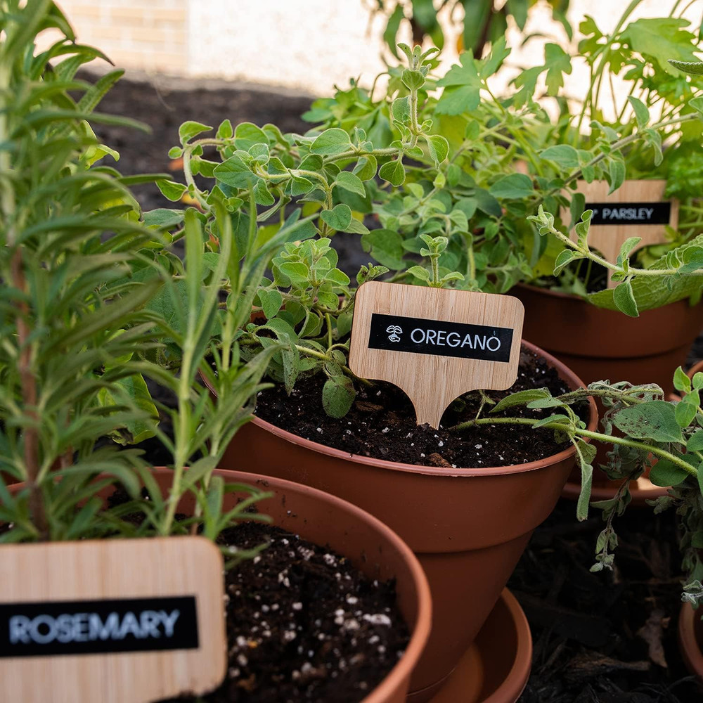 Genuine P-Touch PTH111 P-Touch Pro Label Maker