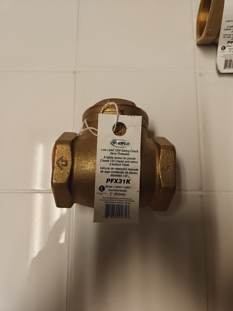 ProFlo PFX31K Swing Check Valve