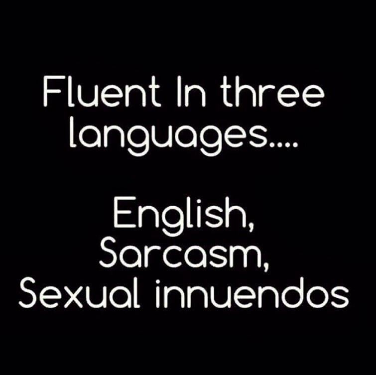 Fluent 3 Languages English Sarcasm & Sexual Innuendos Refrigerator Fridge MAGNET