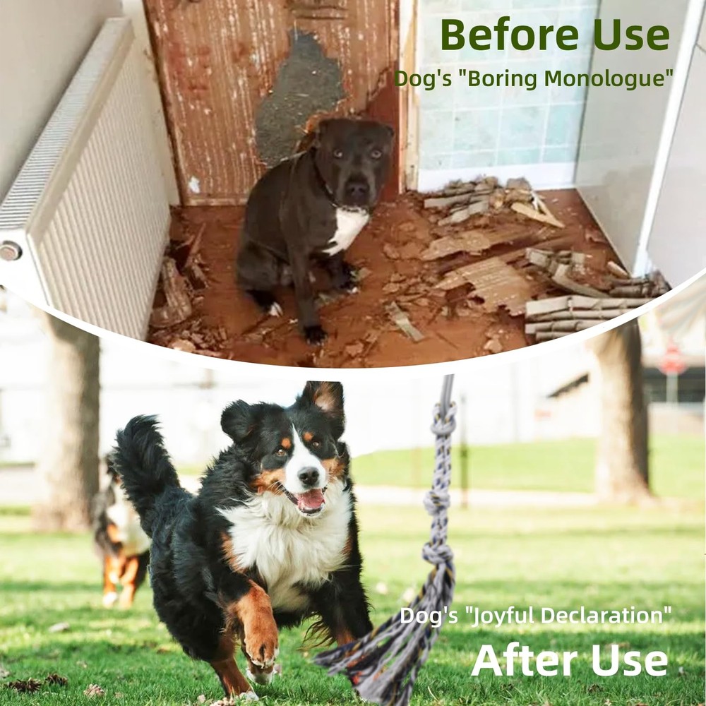 Durable Flirt Pole for Dogs - Interactive Training Tool for Small Medium Dogs