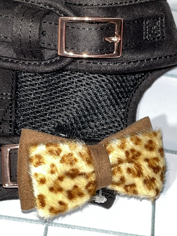 Coastal Accent Black Harness W/Leopard Bow Medium M 20”-24” NWT
