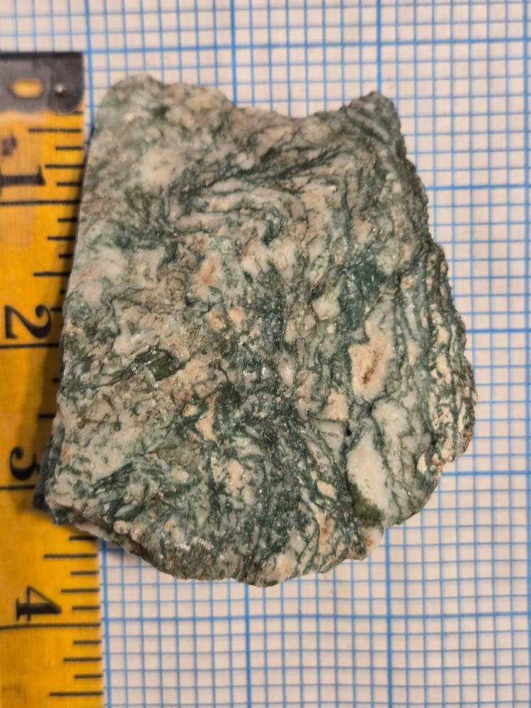 Tree Agate Rough