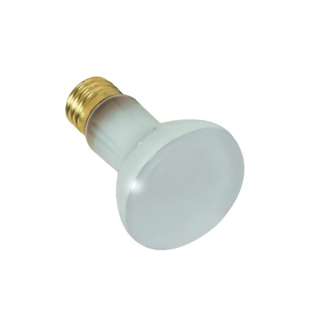 S7001 POOL LIGHT 130V =120V 100W R20 Flood Bulb Dimmable Frosted Medium E26