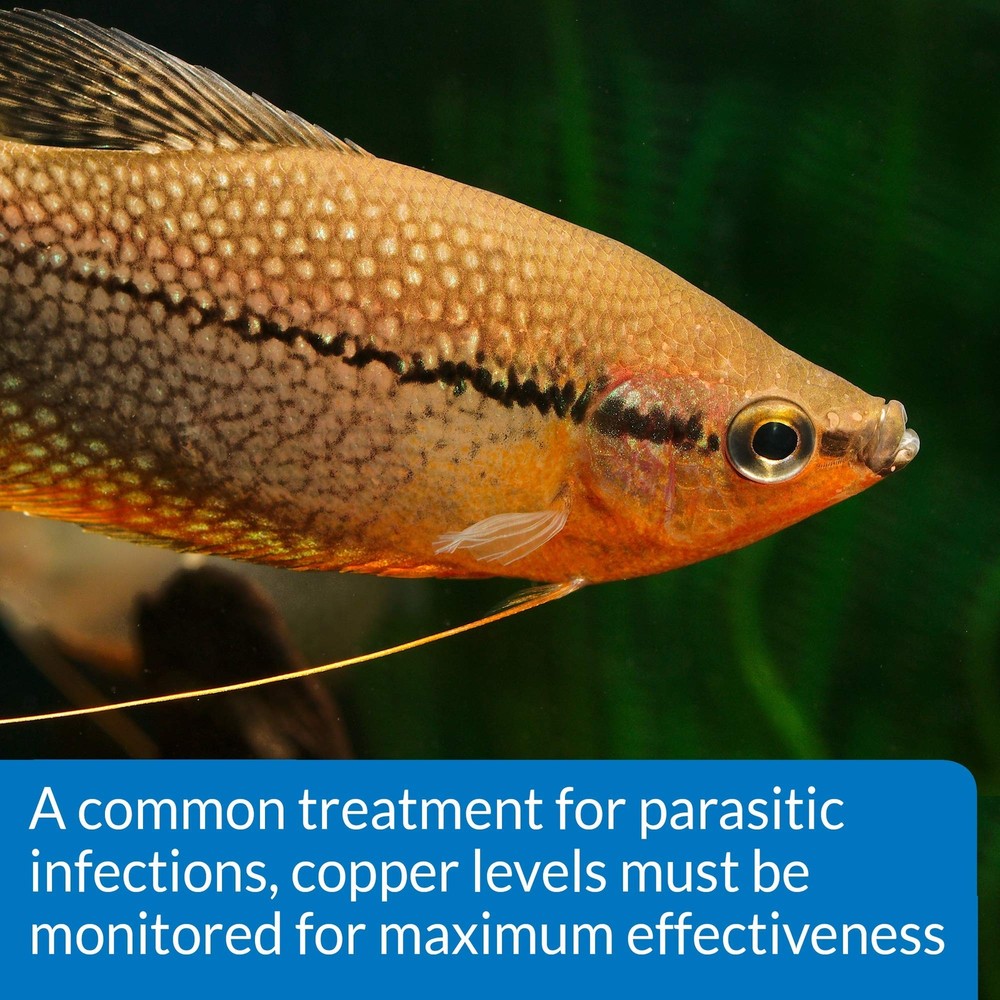 API COPPER TEST KIT 90-Test Aquarium Water Test Kit 90 test