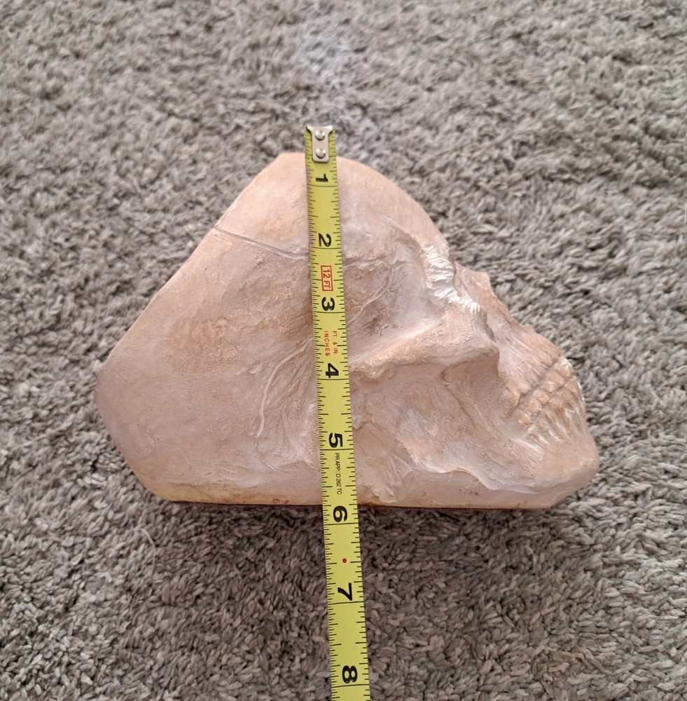 Skull