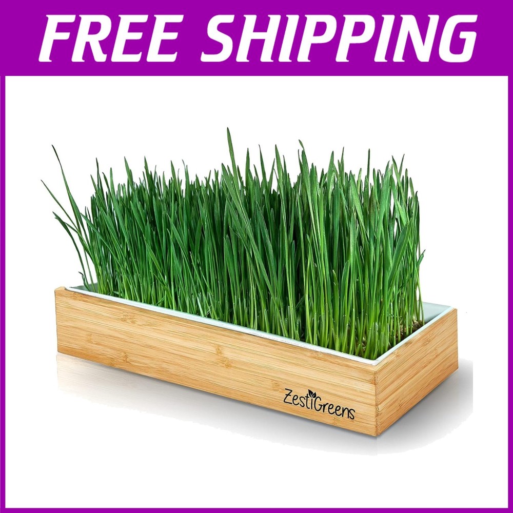 Complete Wheatgrass Growing Kit with Biodegradable Mats