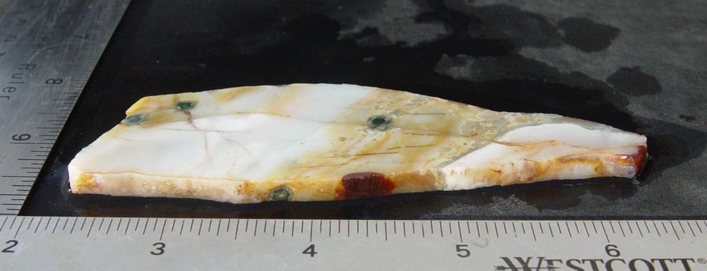 Ocean Jasper Lapidary Slab T936