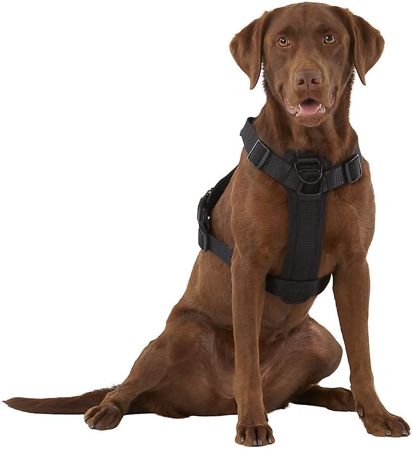 Durable Black Waste Bag Harness for Medium Pets - Easy Cleanup Solution