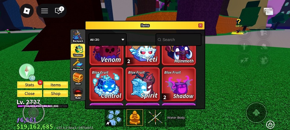 Blox Fruit Acc