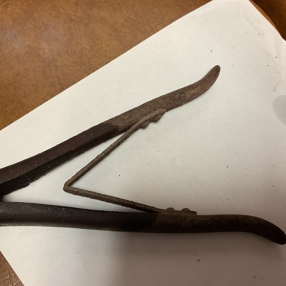 Vintage Cattle Ear Notcher. Good , Rusty. Works.