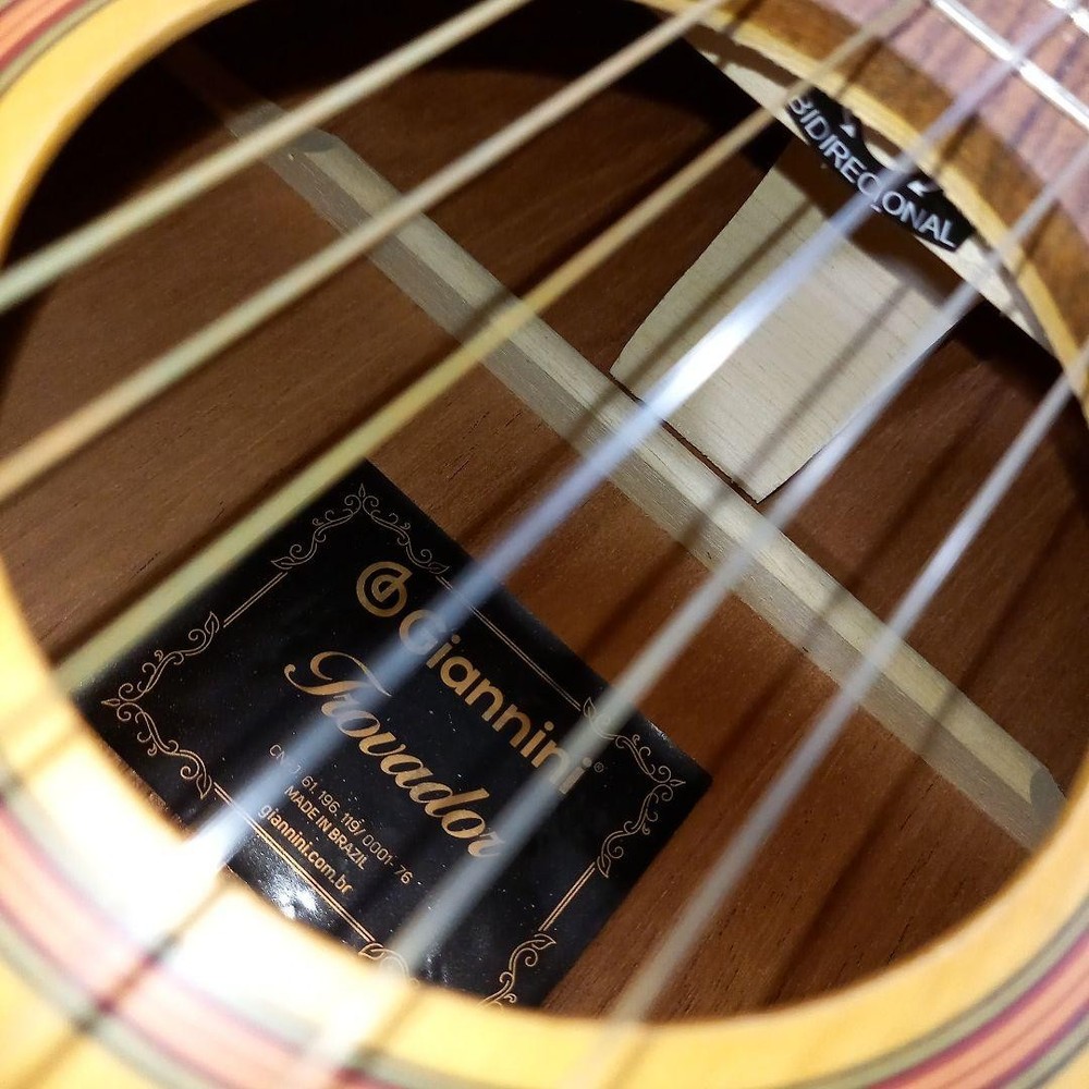Giannini Trovador Classical Guitar Junk