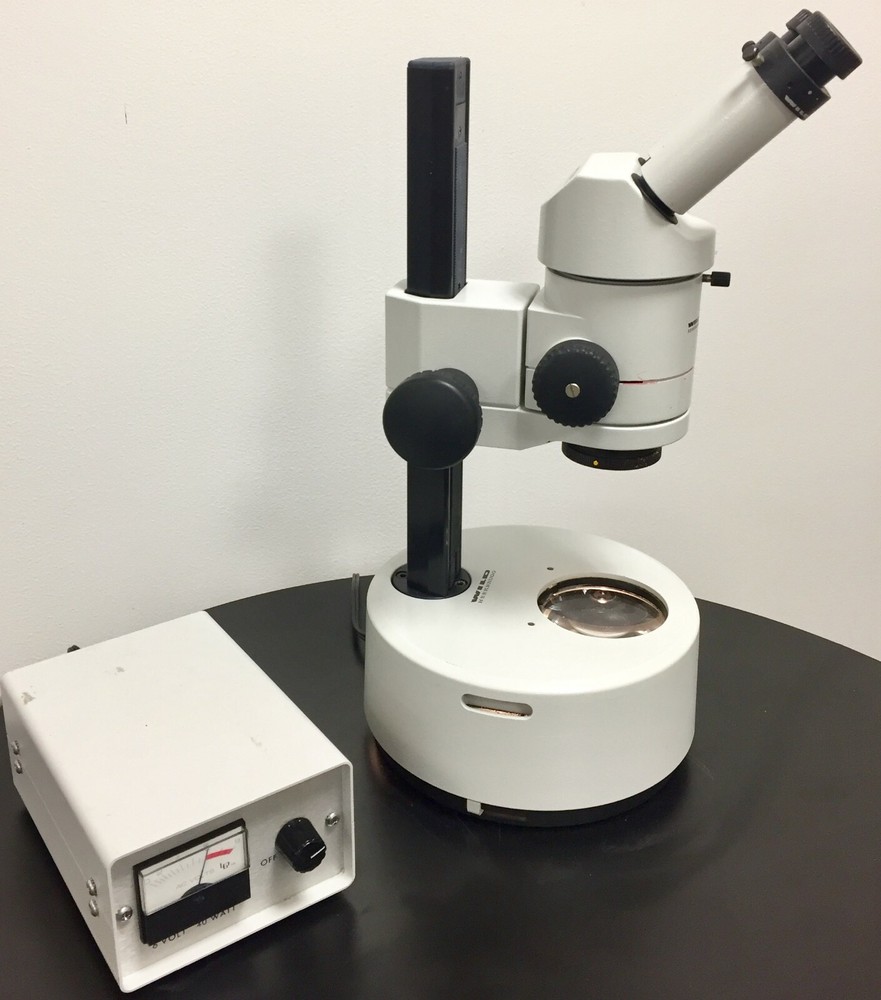 Heerbrugg WILD M3Z Stereo Zoom Microscope w/ Light Source