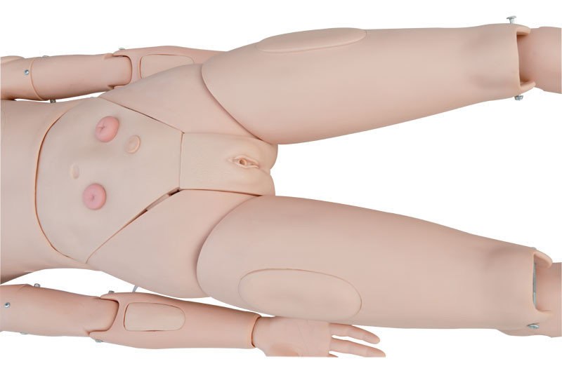 Patient Care Manikin Model Advanced Multifunctional Study Training Mannequin