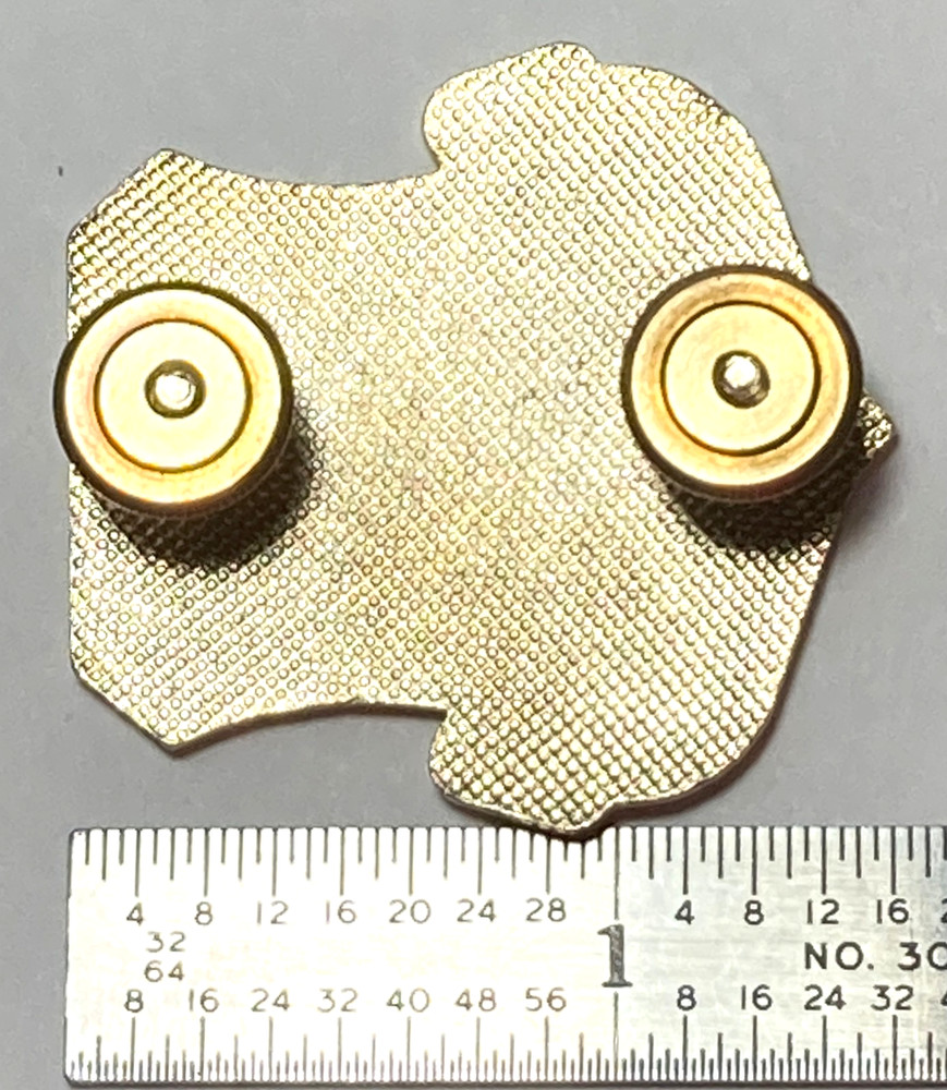 USAF Space Command Screw Back Insignia/ Pin