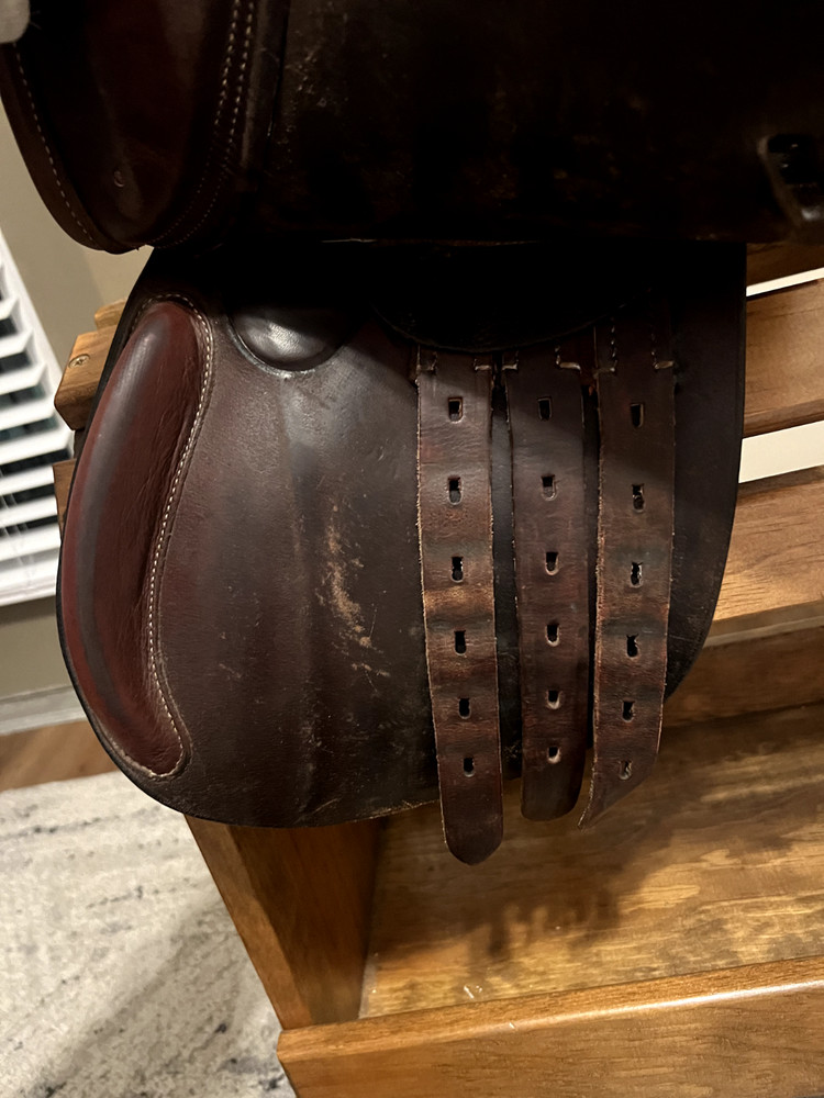 Ovation 13" All-Purpose Saddle – Includes Stirrups, Leathers & Stand