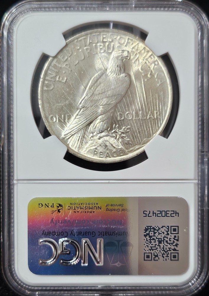1923 Peace Dollar MS-66+ NGC VIDEO