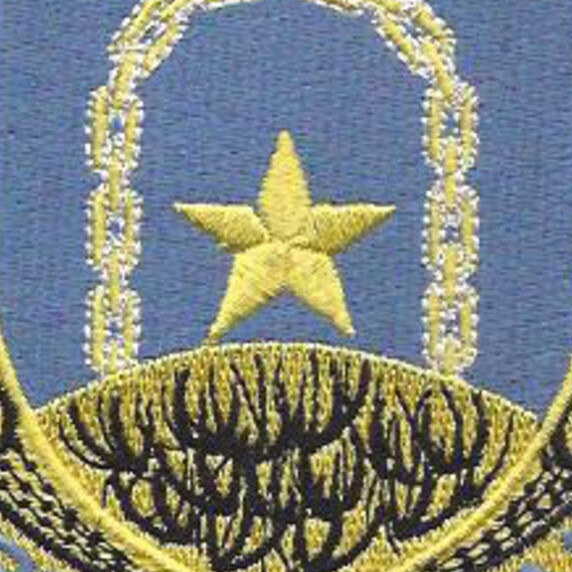 920th Air Base Security Battalion Patch