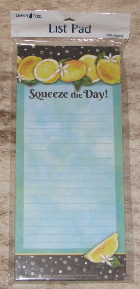 LEANIN TREE "Squeeze The Day" #61775~Magnetic List Note Pad ~ 60 Sheets + Magnet