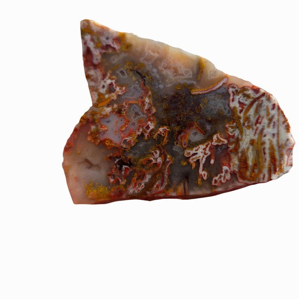 Apple Valley Agate Slab - Wintry Scene with Pseudomorphic Moss