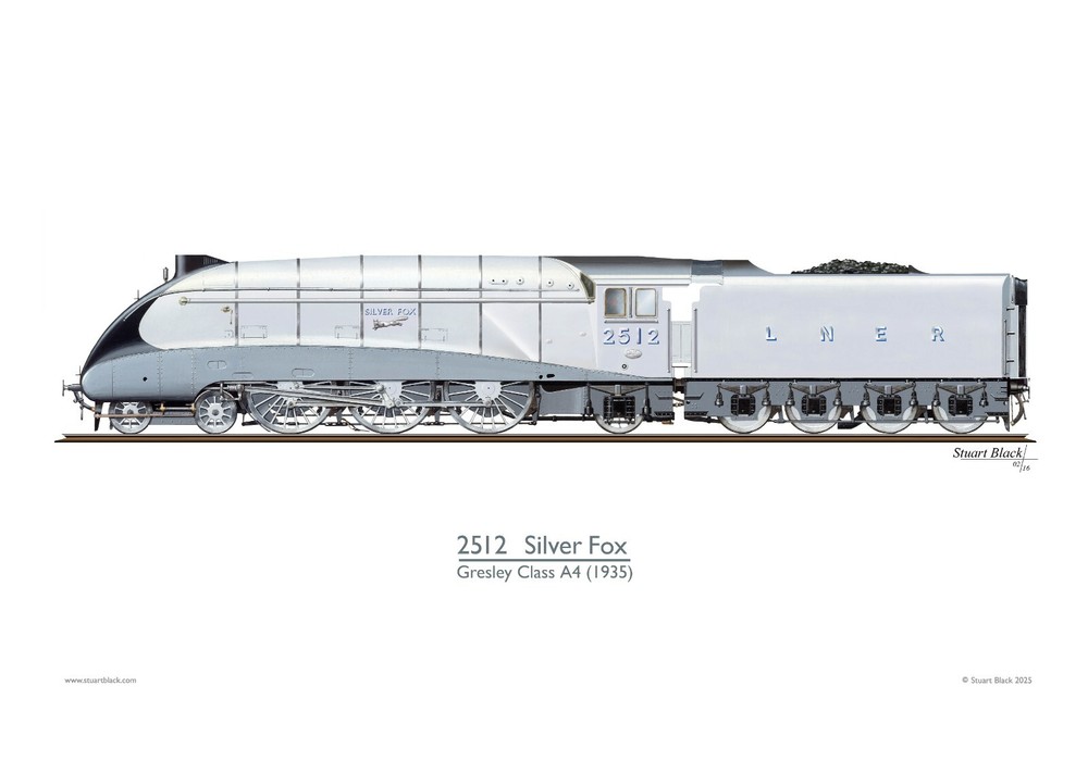2512 SILVER FOX - Precision Art Print - NEW