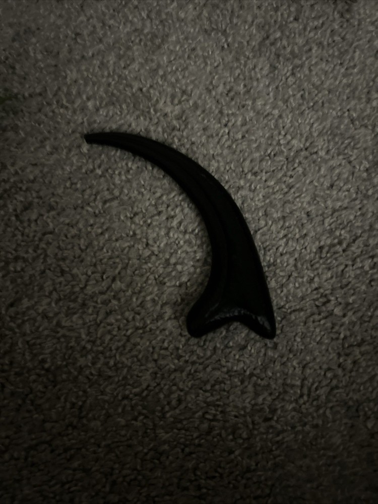 Raptor Claw - 6 inches long - Black
