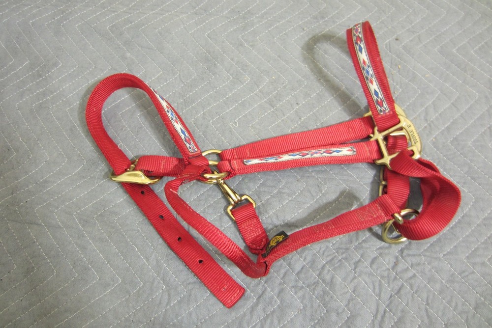 Triple E 1" Nylon Adjustable Horse Halter Red with Gold Hardware