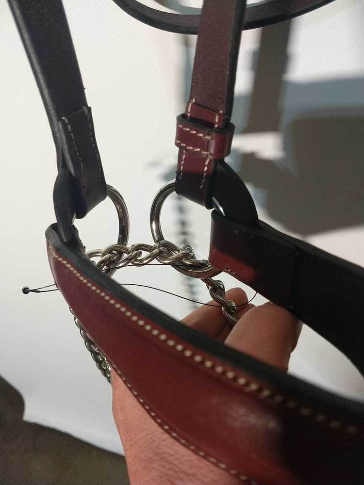 Passage Equestrian Bridle full size (DD)