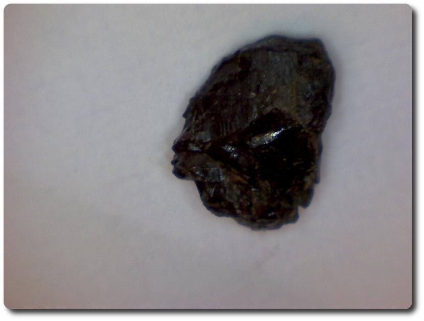 Enstatite. 1.5 cts. Burma