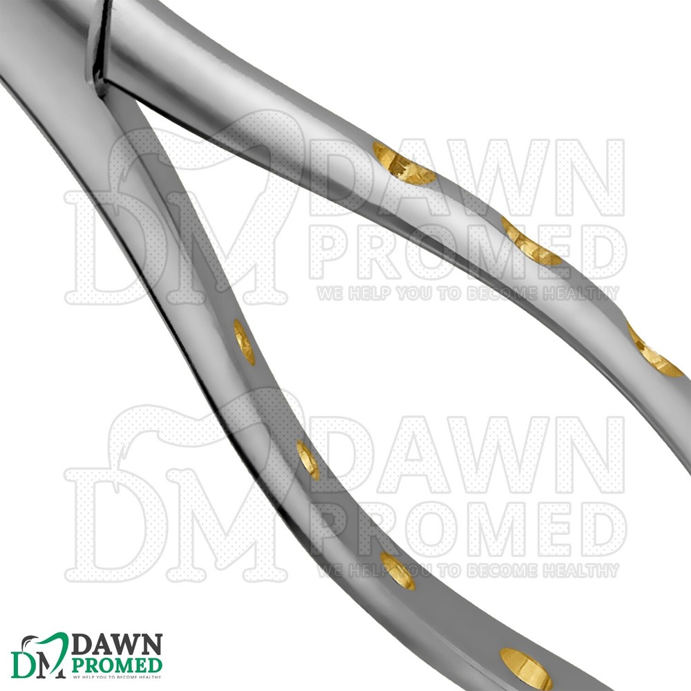 Dental Extracting Forceps #53L Gold Hollow Python Grip Handle German Grade