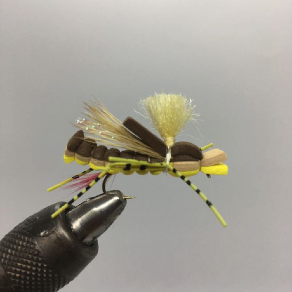One Dozen (12) - Sandwich Hopper - Yellow - Terrestrial