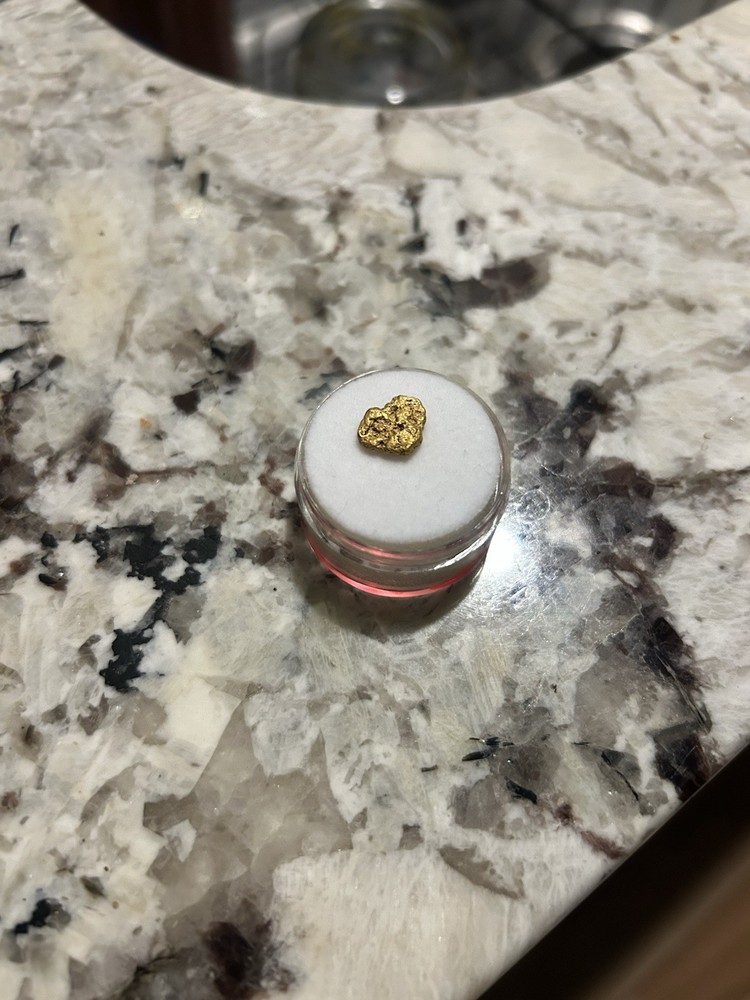 .99 Yukon Gold Nugget