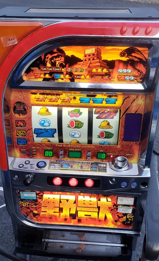 TOKEN SLOT MACHINE THE SURVIVAL WORLD 1994