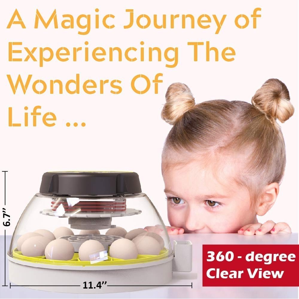 12 Egg Incubator with Humidity Display & Automatic Turner for Optimal Hatching