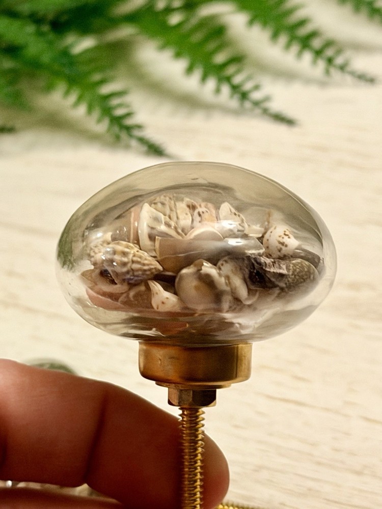 1 Seashell Filled Glass Drawer Pulls Knobs Cabinet Nautical Beach Decor Hardwar