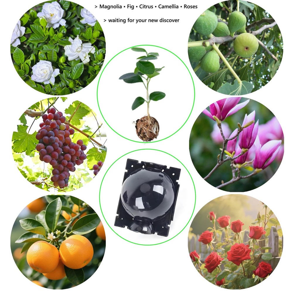 Tree Root Growing Box 10pcs Air Layering Propagation Ball Kit