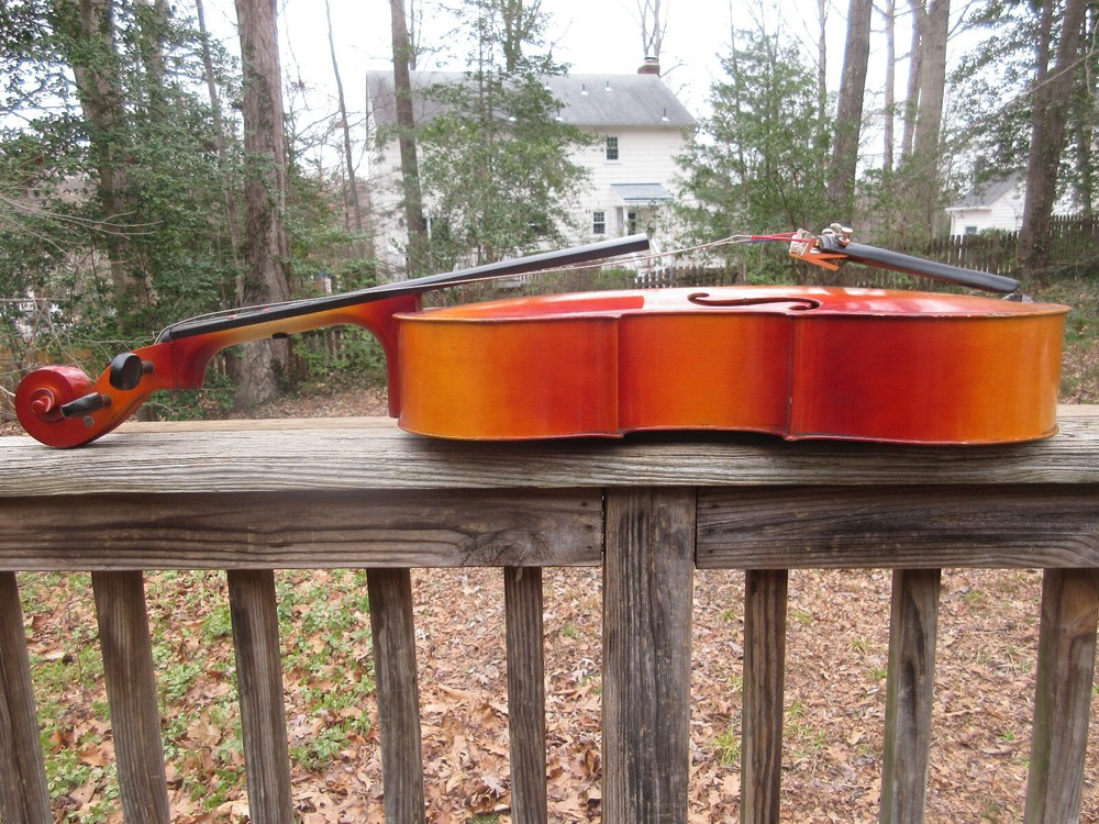 Englehardt 5512 Cello 41 1/2" high