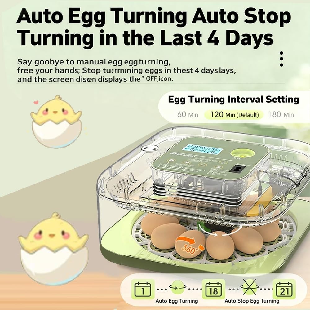 12 Eggs Capacity, Egg Incubator with Automatic Egg Turning and Humidity Control