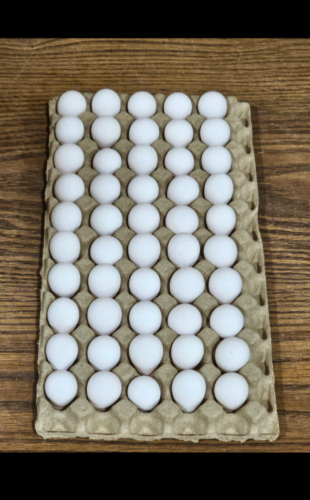 1,000 Northern Bobwhite Quail Hatching Eggs