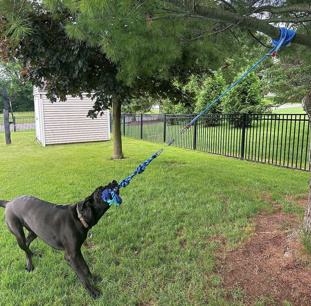 Bungee Dog Toy, Tree Tug Toy for Pitbull Interactive & Exercise, Spring Pole NEW