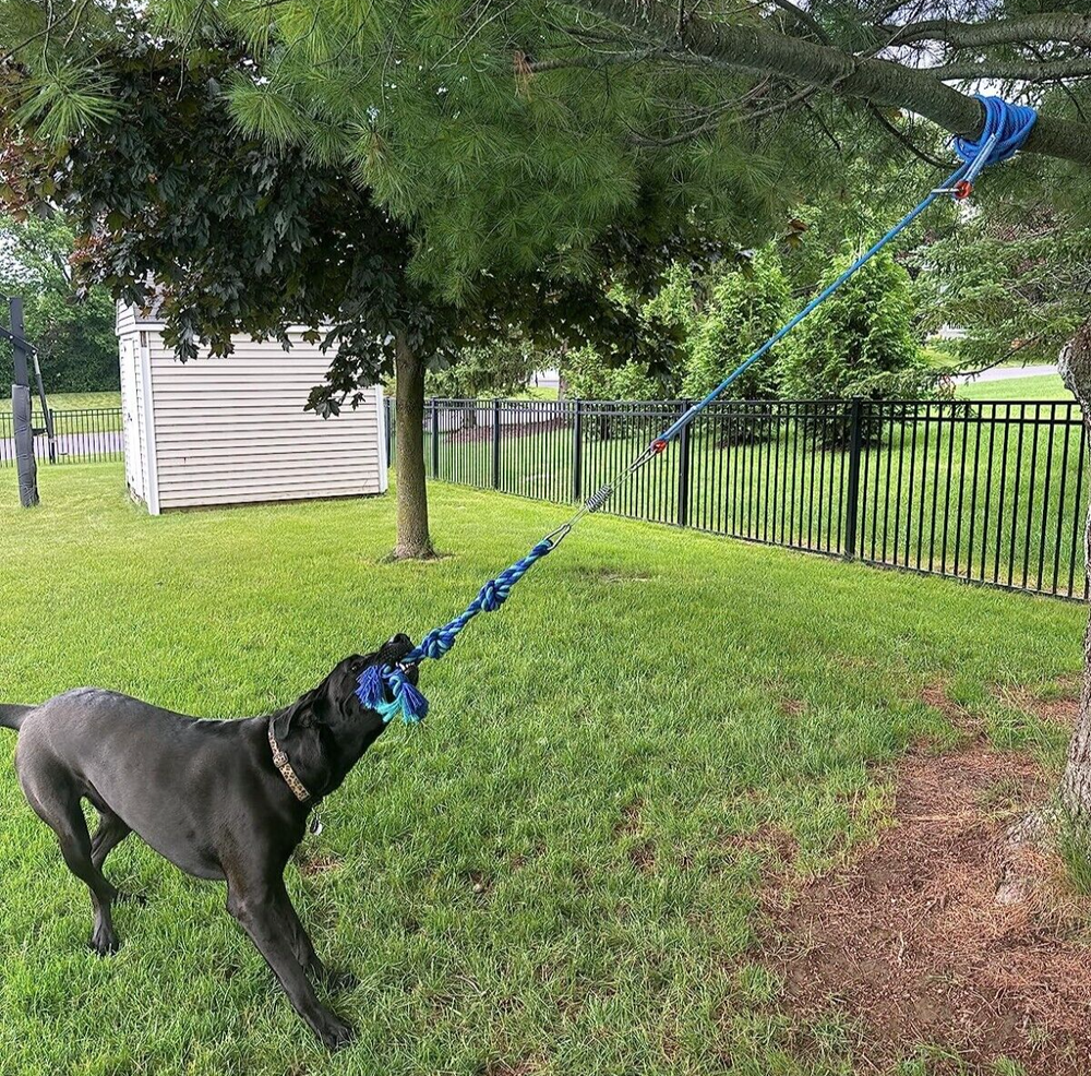 Bungee Dog Toy, Tree Tug Toy for Pitbull Interactive & Exercise, Spring Pole NEW