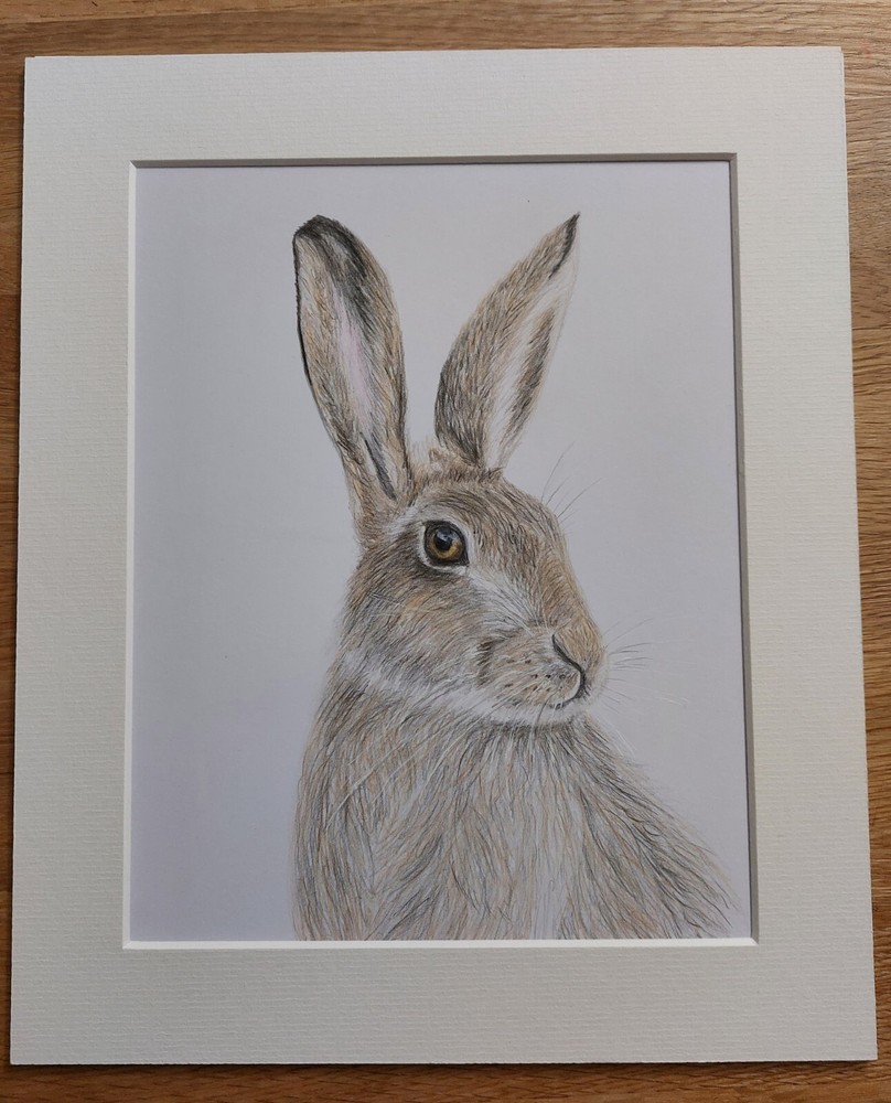 The Hare Limited Edition Print