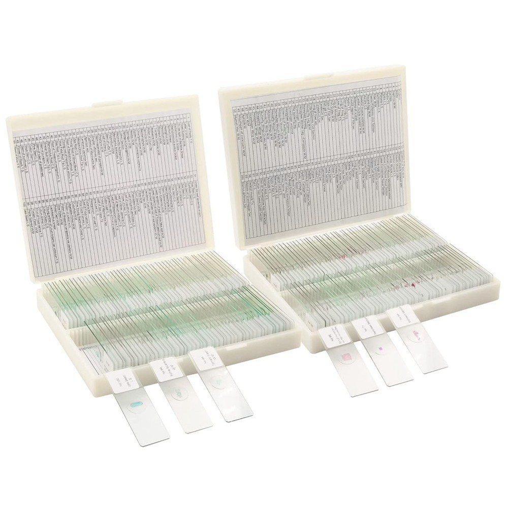 200 Packs Microscope Slides, 100 Plants & 100 Animal Tissues Includes2739