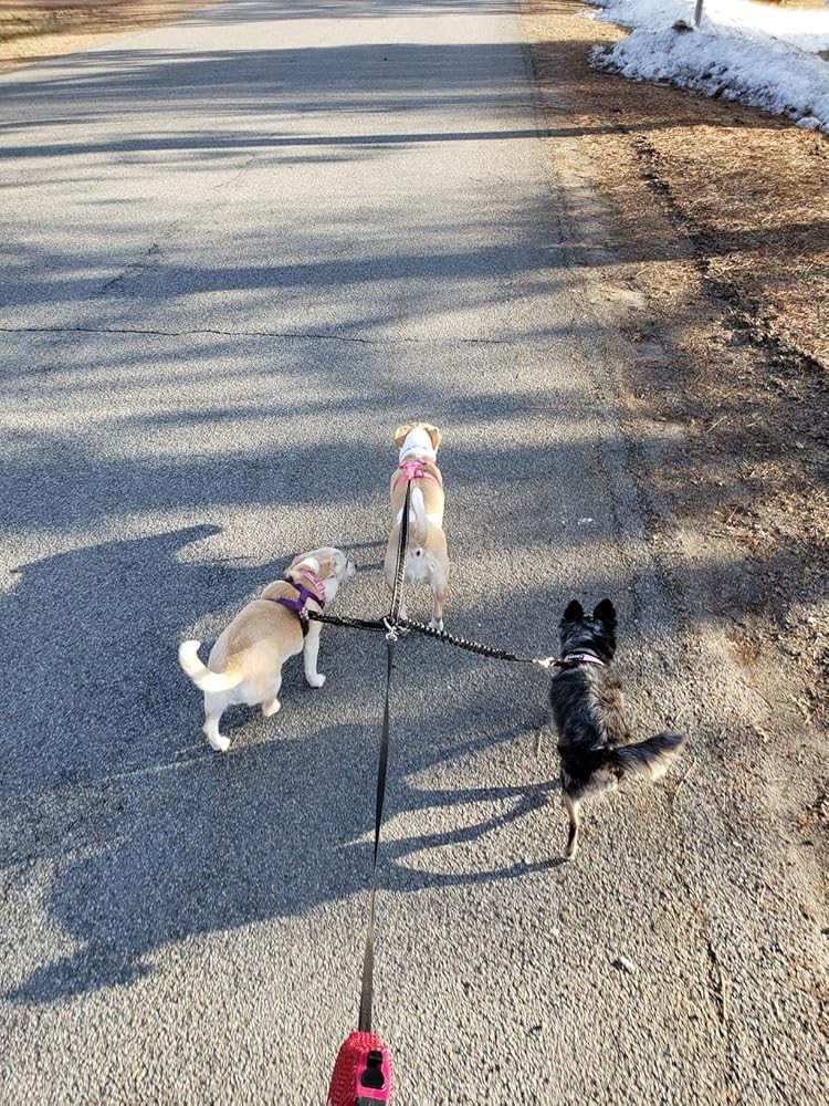 3 Way Dog Leash Coupler Heavy Duty No Pull Multiple Double Free