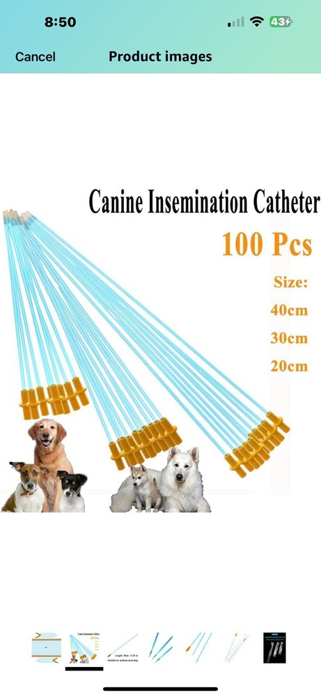 AI Artificial Insemination Dog Breeding Catheter Tip